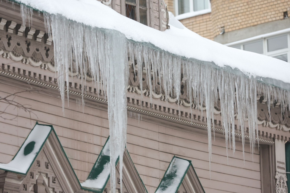    Наталья Шатохина/NEWS.ru