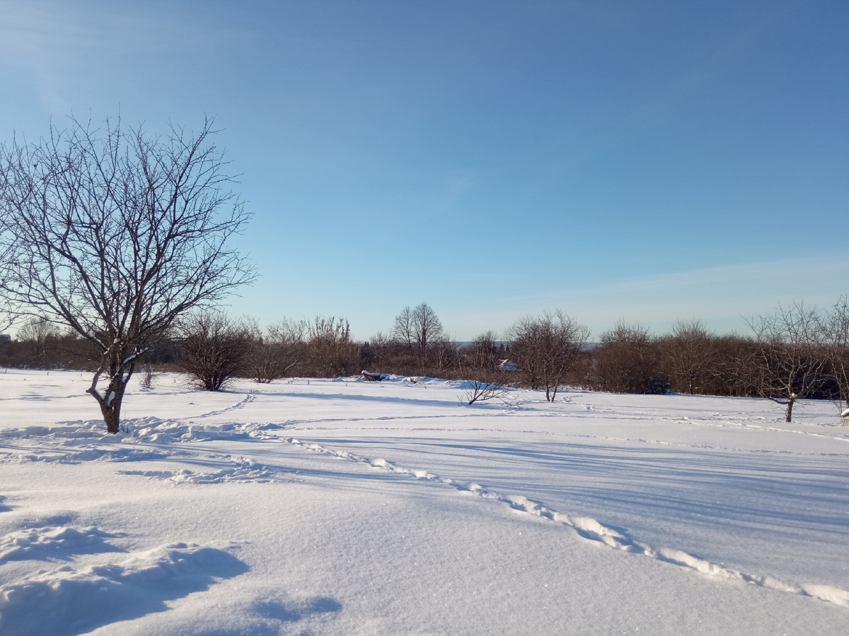 Истоптали нам снежную гладь. Фото автора