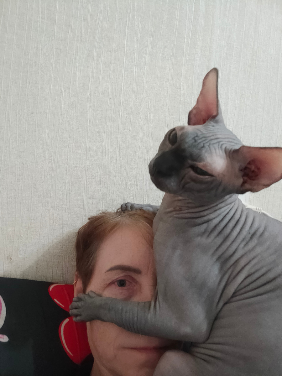 Кот Марсик.