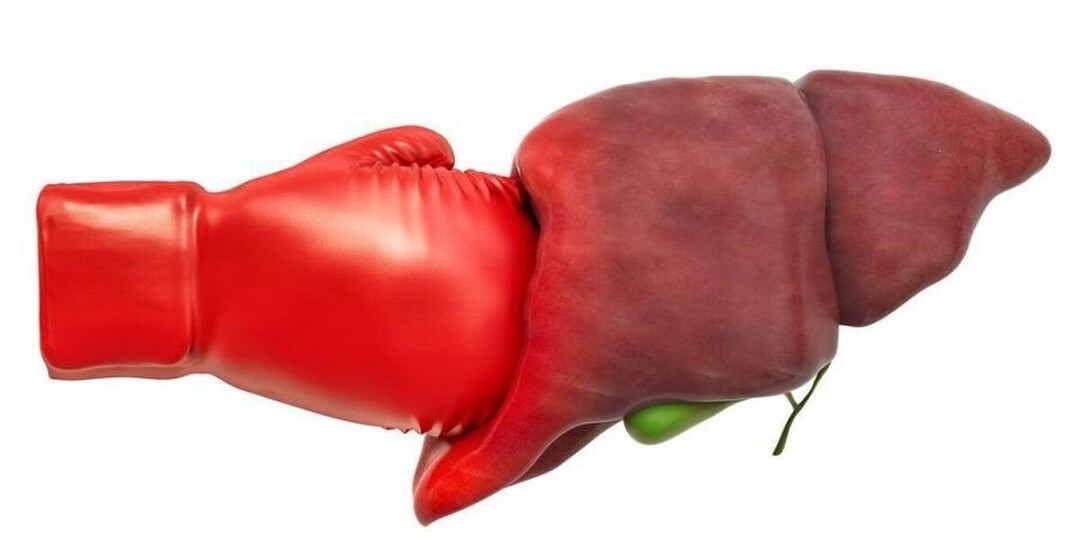 12 сигналов, что печень в опасности, и как не пропустить их вовремя