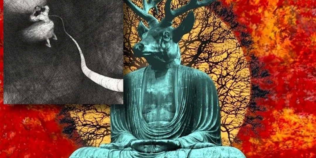 Поэзия «ничего» и «Странные новости с далекой звезды». Новые альбомы выпустили рок-группы «Полюса» и «Аквариум»