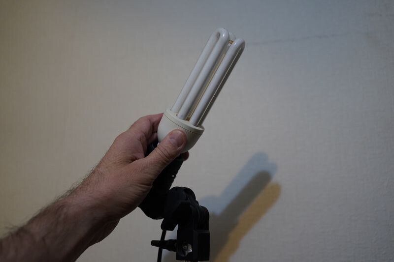     / Источник: © ИЗВЕСТИЯ/Эдуард Корниенко