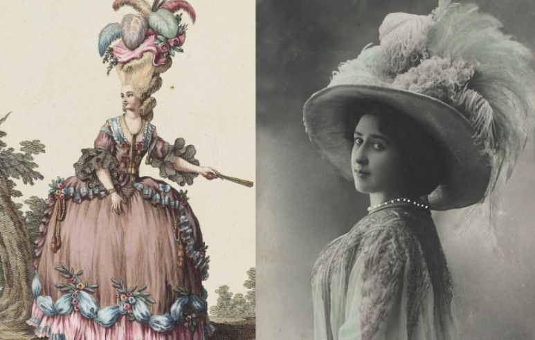 Операция «Перо»: как мода на шляпки превратила африканских страусов в объект охоты