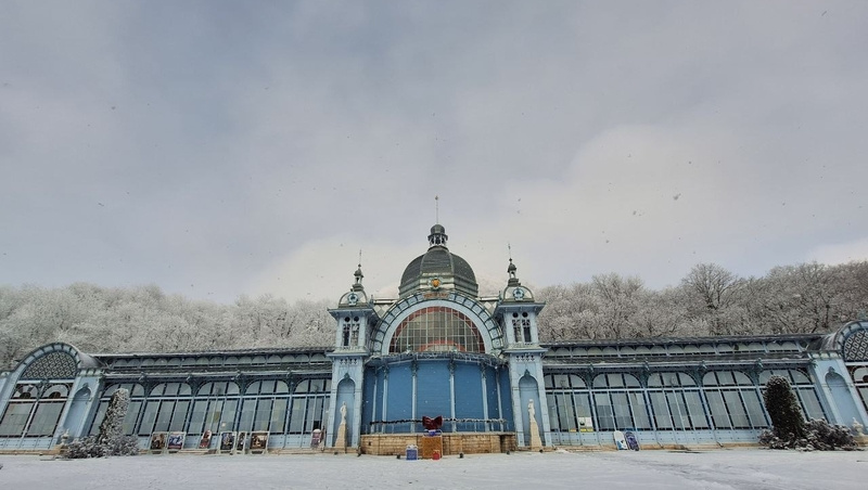    Новая выставка открылась в Пушкинской галерее Железноводска Фото: Елизавета Боброва / / ИА «Победа26»