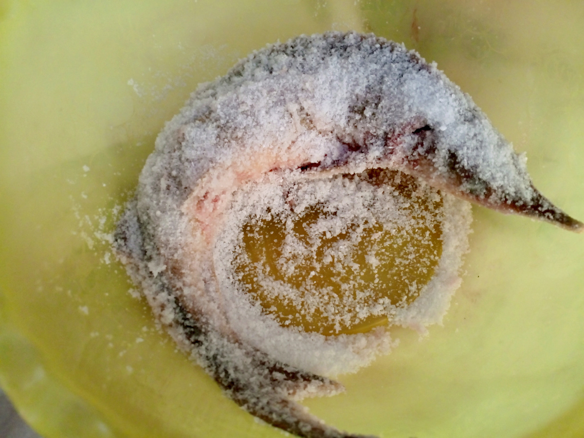 Рыба посыпаная солью. Фото авторов