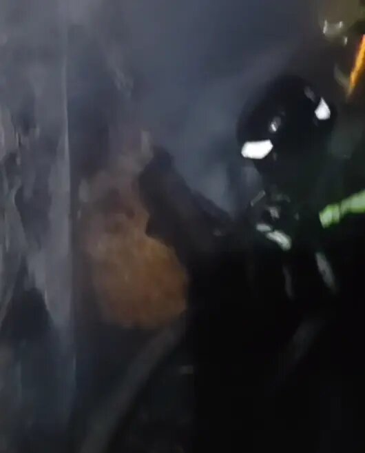    Фото: скриншот видео ГУ МЧС России по Ленобласти