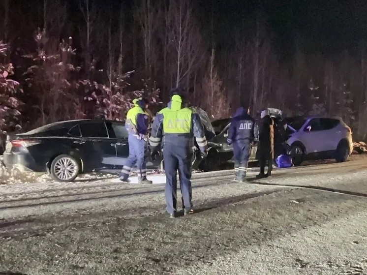     Фото: t.me/gibdd_66.