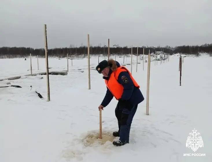    ФОТО: МЧС России по Костромской области