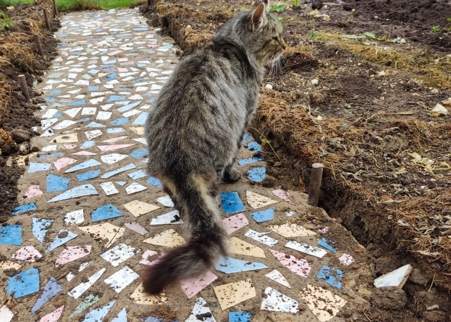 Наш кот самый безвредный...