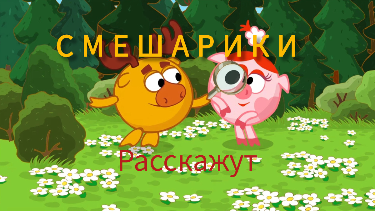 Обложка. Кадр из открытых источников.