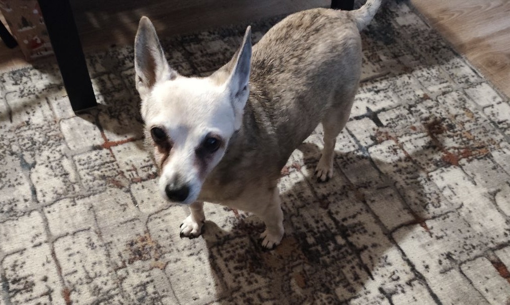 Привет, друзья, из Москвы!!!