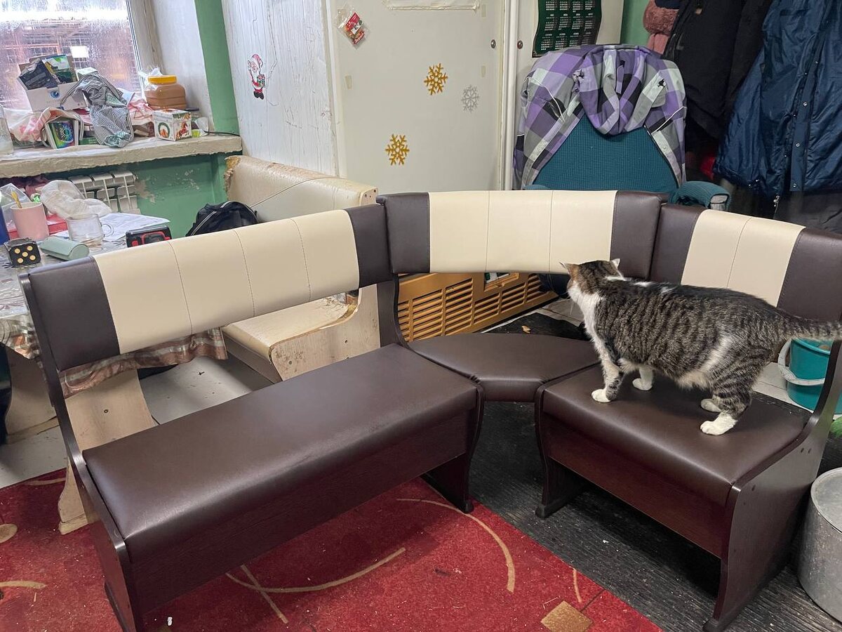 Василий принял подарок 👍