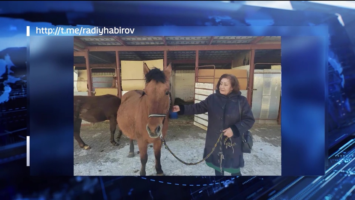    Легенда башкирского коневодства Ираида Ахатова отметила свой 80-летний юбилей
