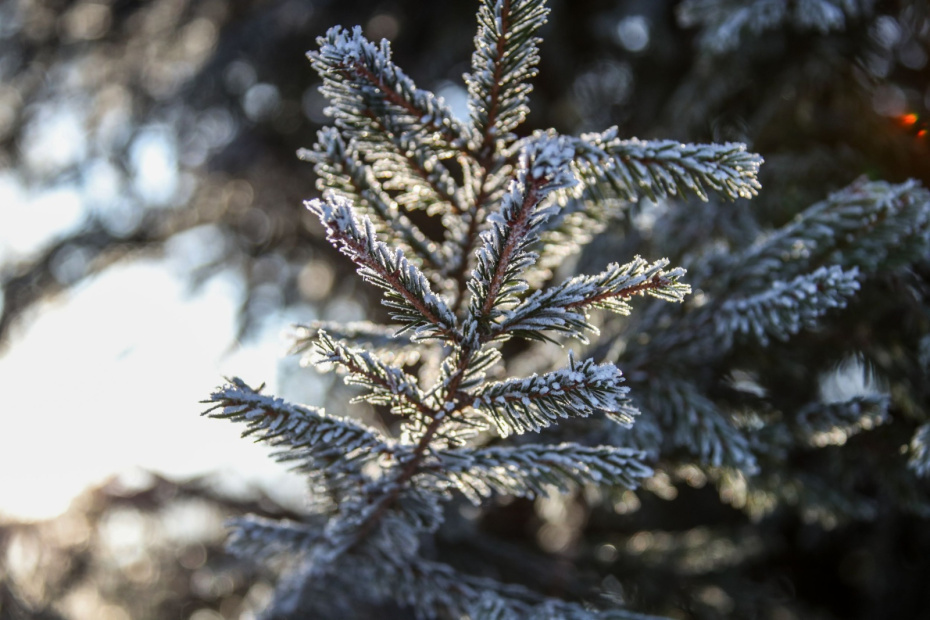    Сергей Лантюхов/NEWS.ru