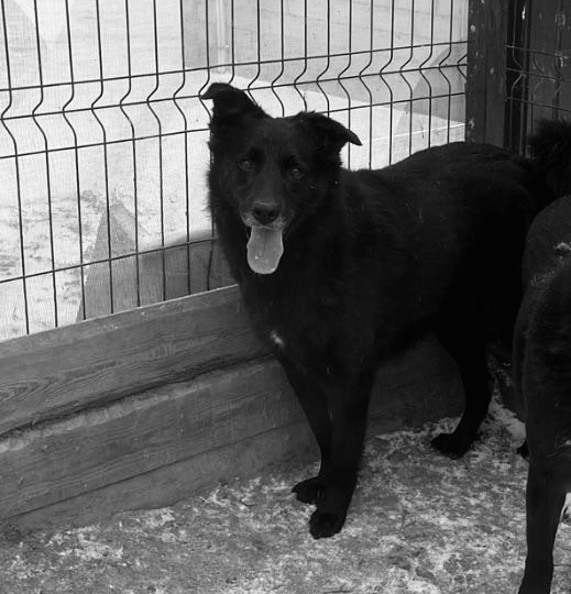 Прощай, Ньют