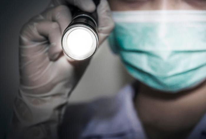 Обложка © Shutterstock / FOTODOM / MORIESARCH