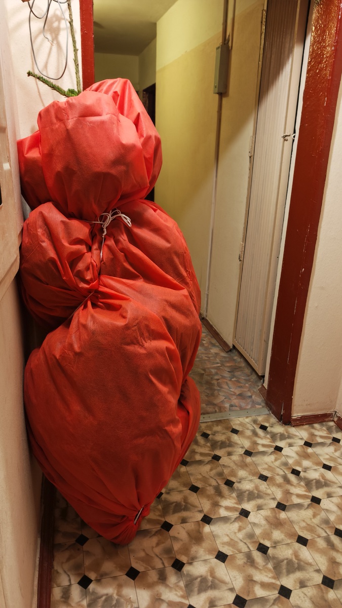 Фото автора .Наша ёлка в подъезде ждёт своей участи 