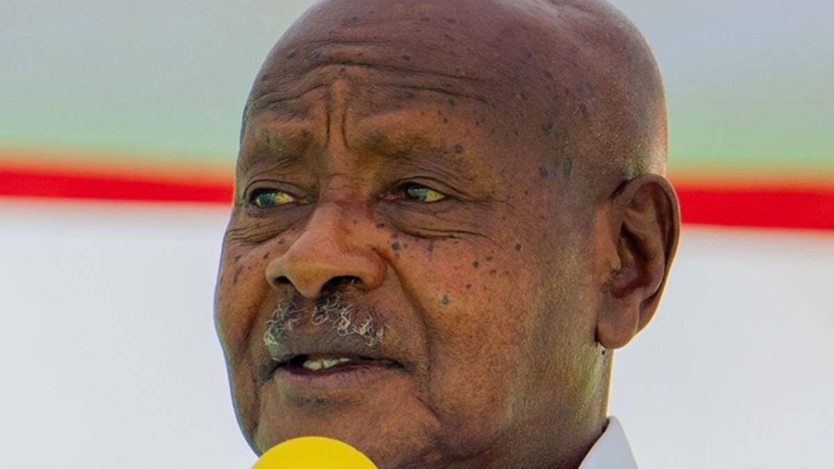    Фото: Emmasento / CC0