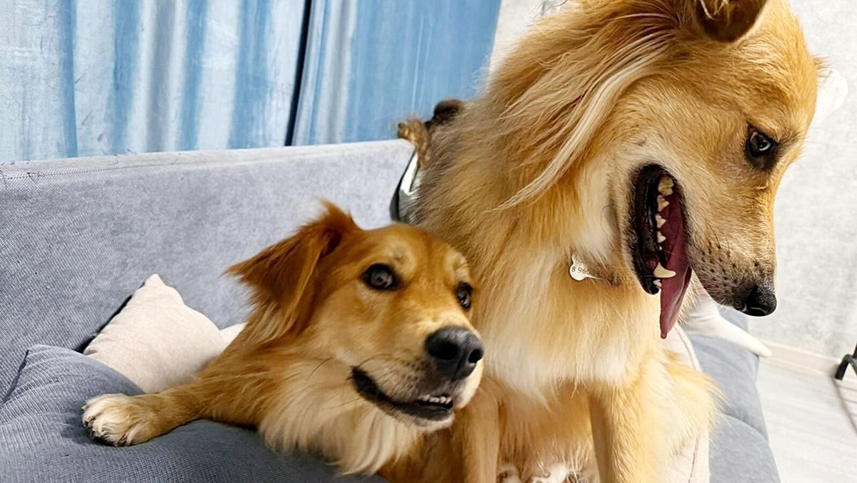    Источник: Пресс-служба комплекса городского хозяйства Москвы