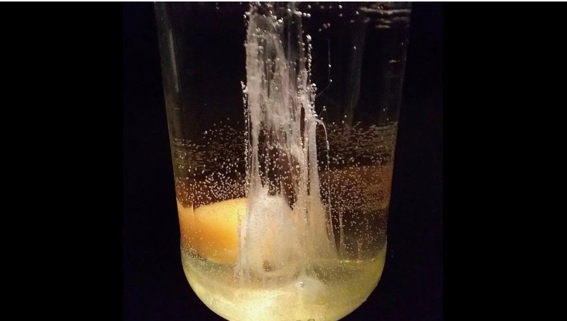 Фото из общего доступа в интернете