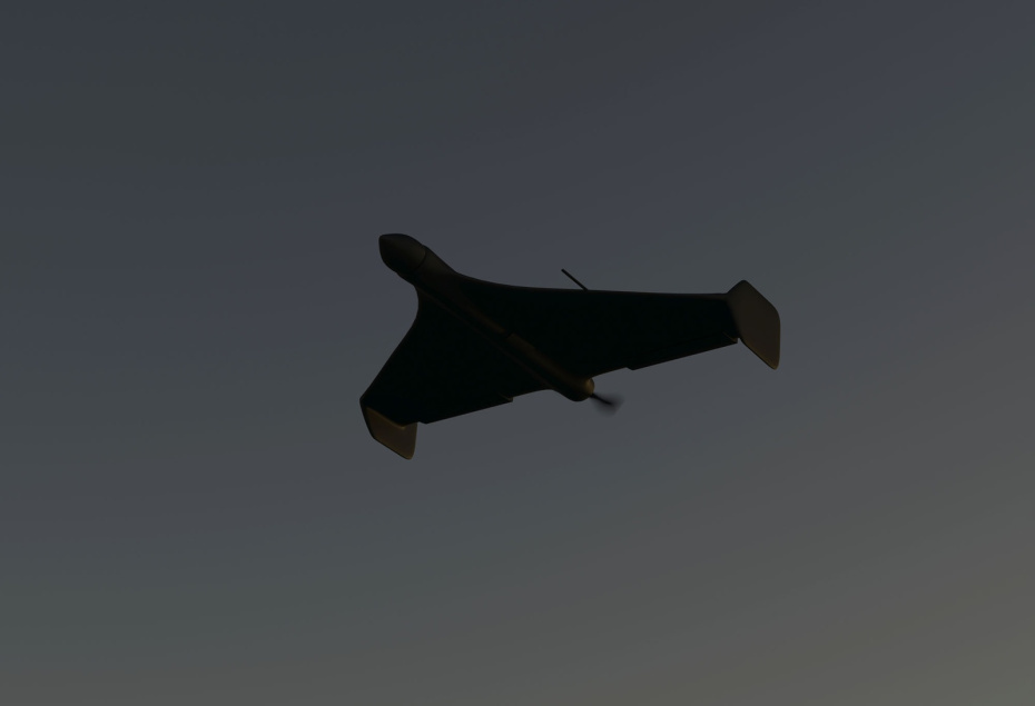    Shutterstock/FOTODOM