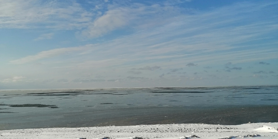 Море у берега стало  тихим и неподвижным.