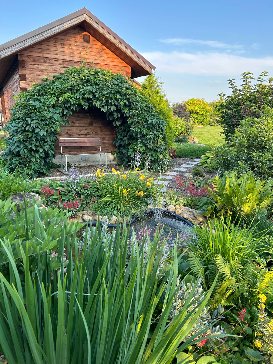 Пруд-клумба. Фото Мой второй сад