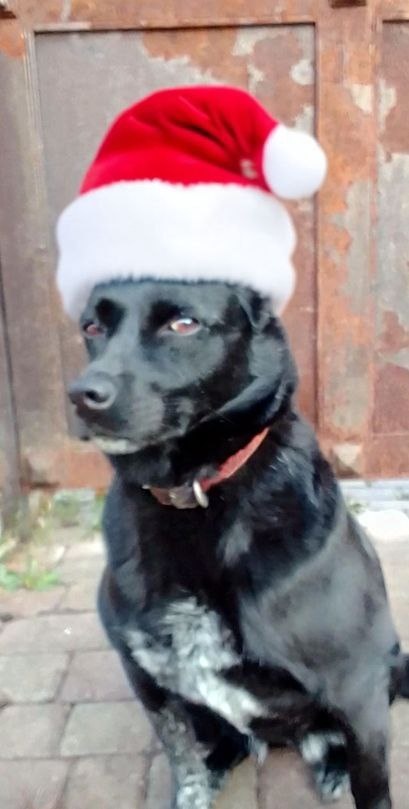 Клякса в шапке