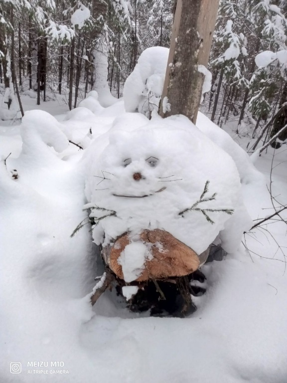 ЧУДЕСНЫЙ КОТИК ПОЛУЧИЛСЯ  У ТВОРЧЕСКИХ ЛЮДЕЙ,ХОТЬ И ГОД ЛОШАДИ.