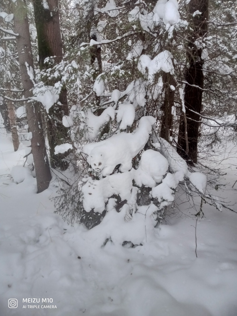 ЗВЕРУШКИ МОГУТ БЫТЬ НА ДЕРЕВЕ И ИЗ СНЕГА.