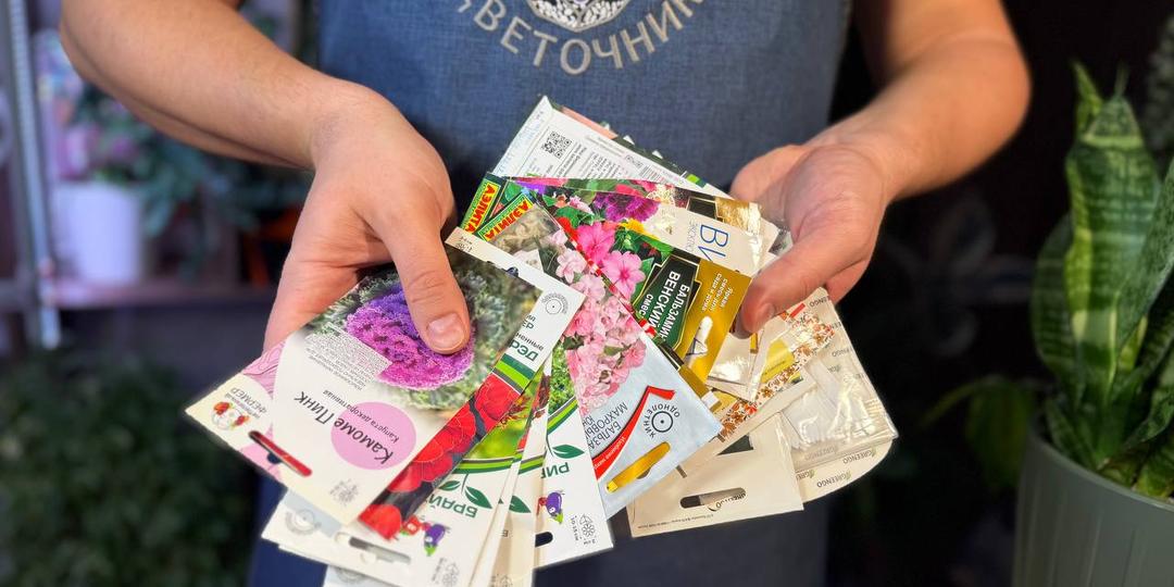 Семена «с истёкшим сроком»: какие ещё живые, какие — нет, и где мы чаще всего всё сами портим