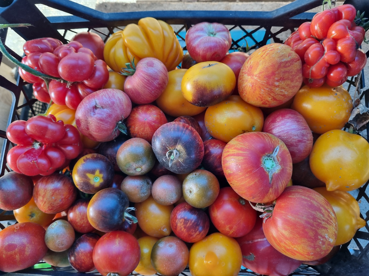 Вот так вот, только в мае