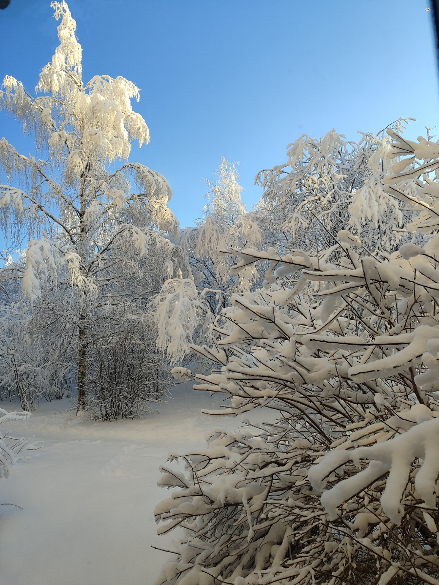 Зима у нас в этом году очень снежная. Вид из моего окна.
