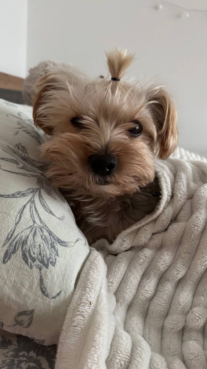 Артюша любит смотреть со мной фильмы