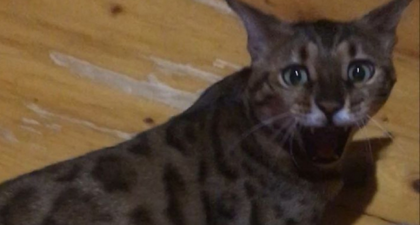    Фото Анастасии Дмитриевой