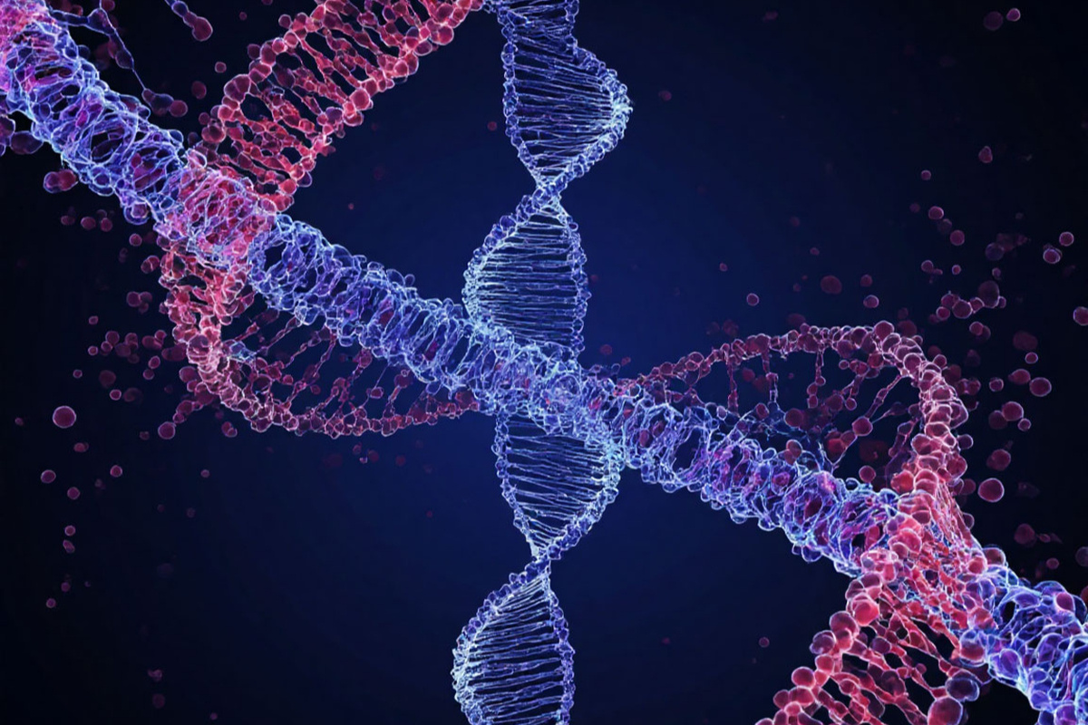    Фото: коллаж RuNews24.ru