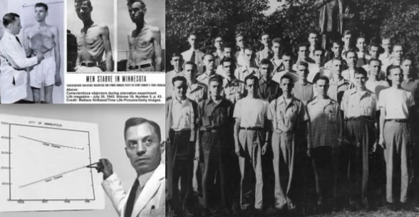 Самый опасный эксперимент в истории или почему ваша диета обречена на провал (с точки зрения биологии)