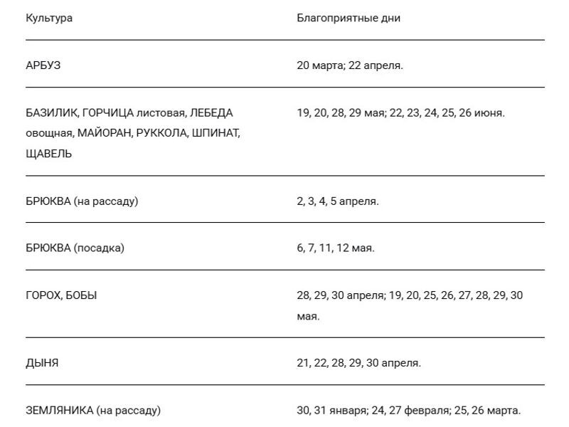 Благоприятные дни для посадки овощей в 2026 году. Таблица создана в Google Документах.