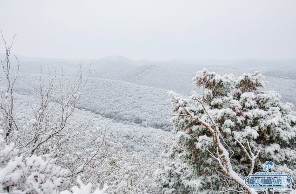 Снег в лесах Сукко Анапа 2026