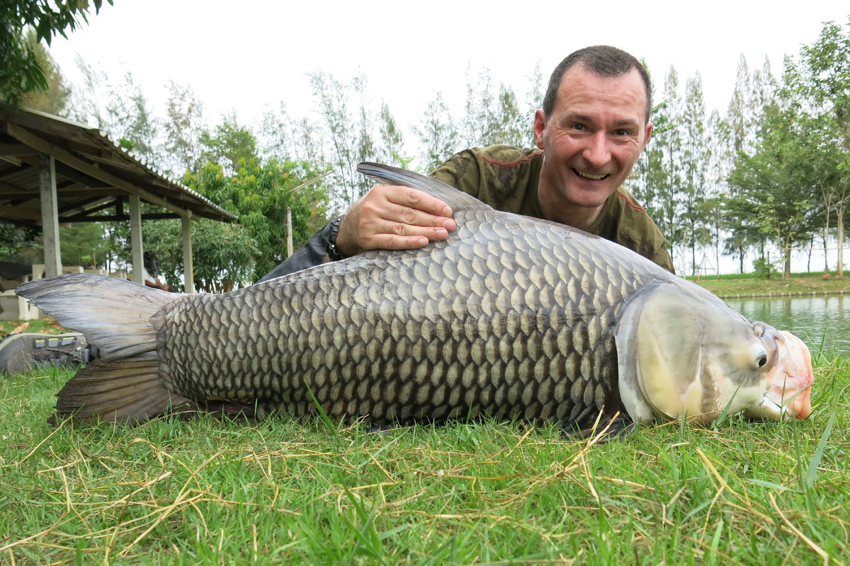 Говорю тебе, ты перепутал меня с карпом обыкновенным, а я сиамский, так что отпусти