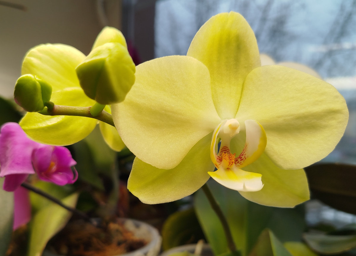 Солнечный душ начало роспуска