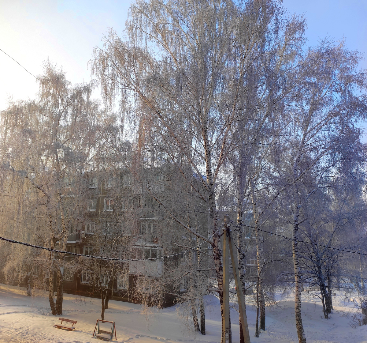 Морозное утро 