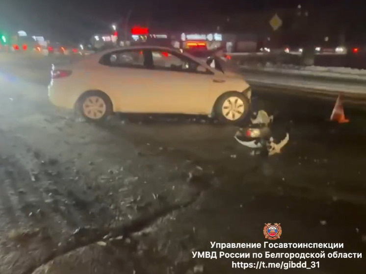     Под Белгородом «Лексус» проехал на красный и спровоцировал ДТП, фото: пресс-служба Госавтоинспекции по Белгородской области