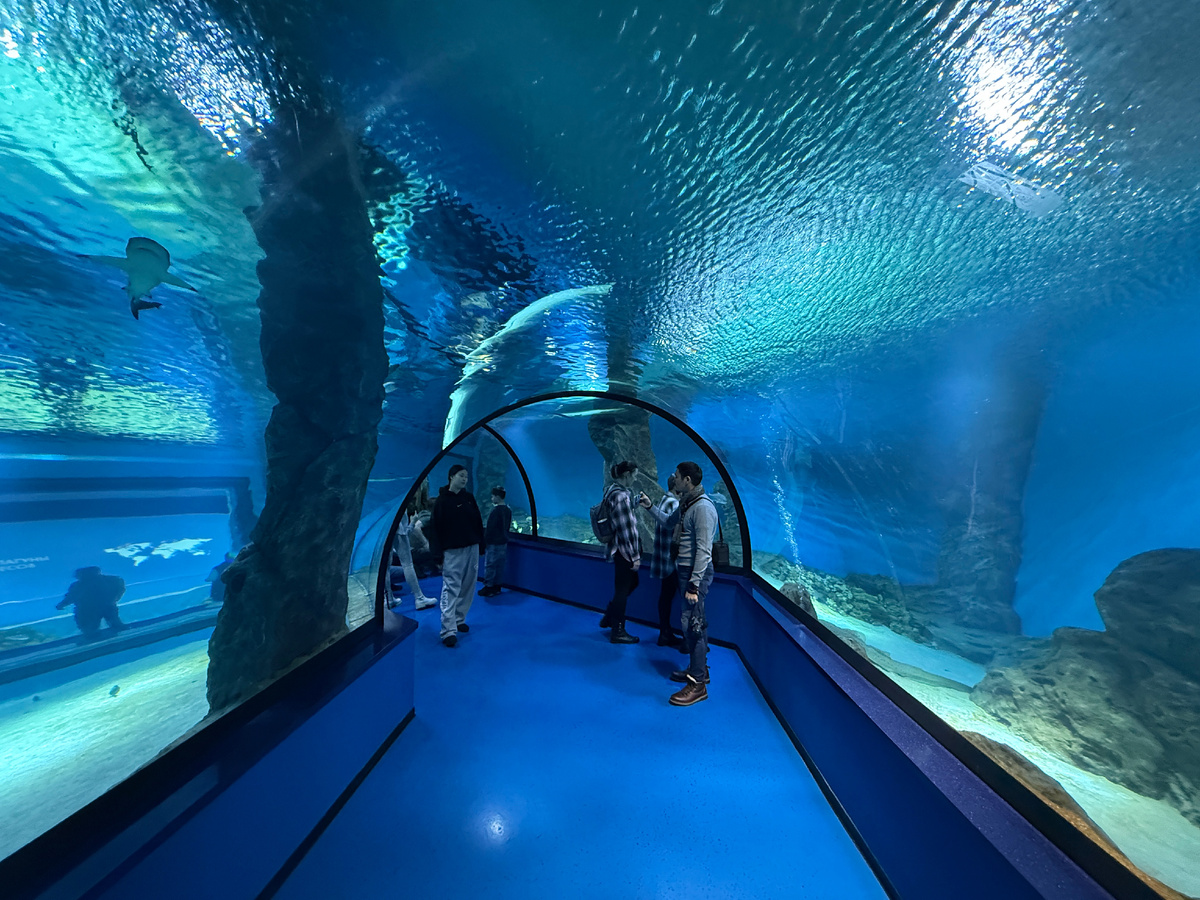 Планета океан - внутри 