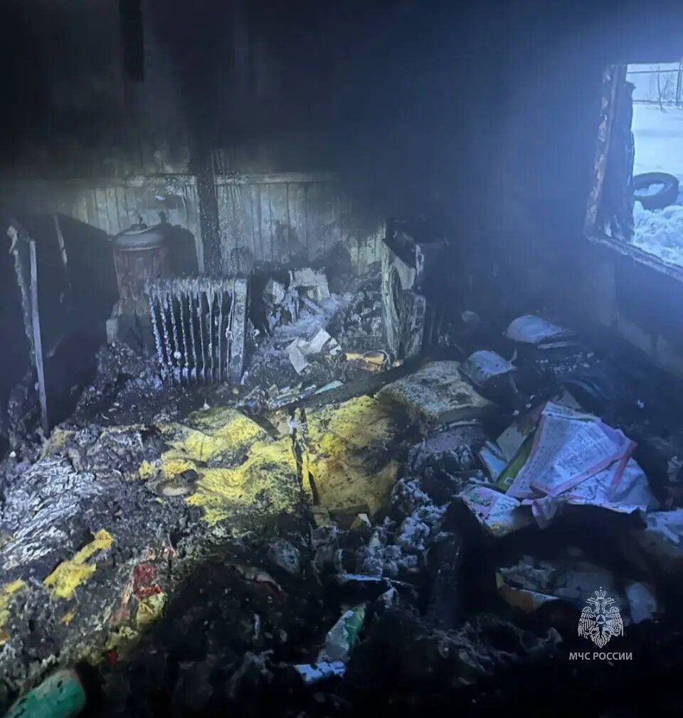    Фото: пресс-служба ГУ МЧС России по Московской области