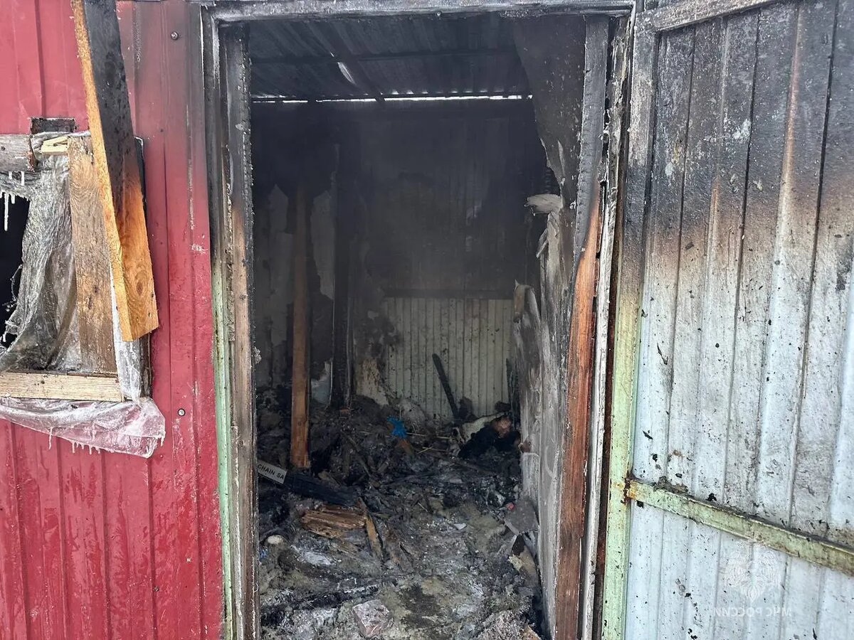    Фото: пресс-служба ГУ МЧС России по Московской области