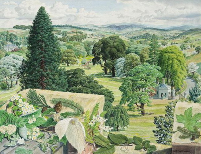 � ������ ��� ������ (Stanley Roy Badmin). ����. 