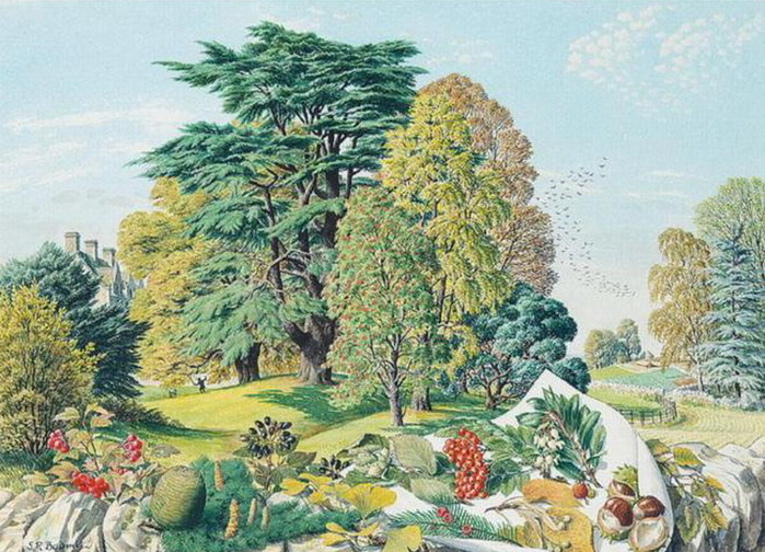 � ������ ��� ������ (Stanley Roy Badmin). ��������.