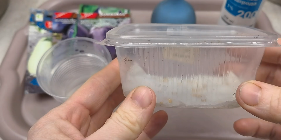 Сеем баклажаны в 2026 году: способ посева баклажанов без земли. Выращивание баклажанов из семян