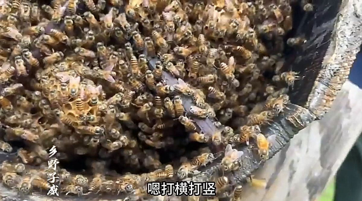 фото для примера...